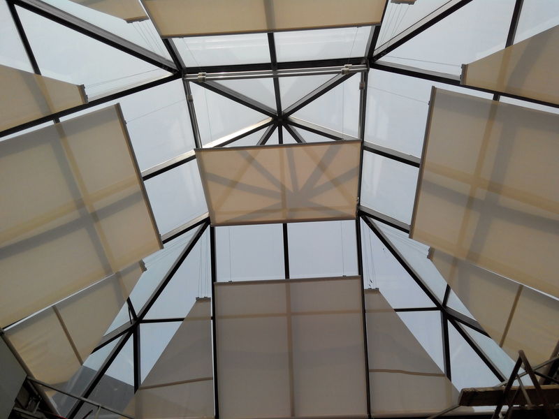 IMG_20130604_134154.jpg
